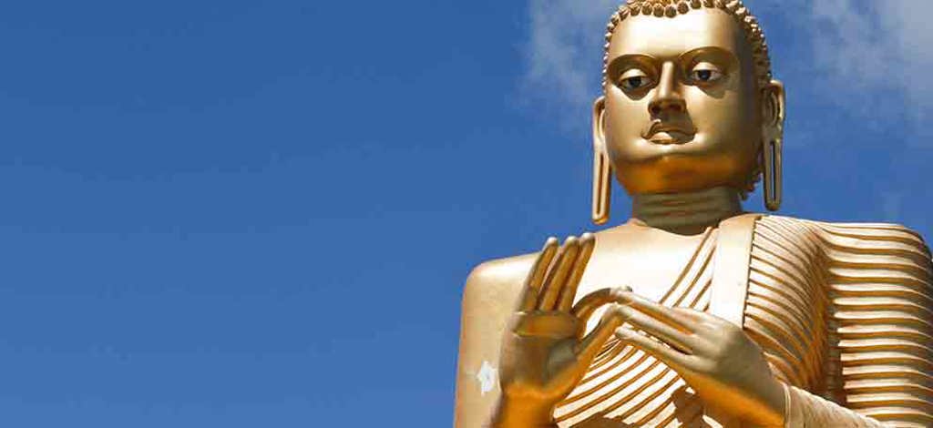 Hotels in Dambulla